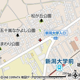 新潟県新潟市西区五十嵐１の町6677周辺の地図