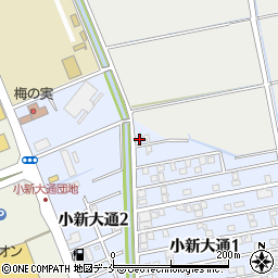 新潟県新潟市西区小新大通1丁目1-7周辺の地図