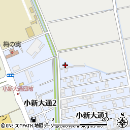 新潟県新潟市西区小新大通1丁目1-5周辺の地図