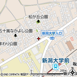 新潟県新潟市西区五十嵐１の町6676周辺の地図