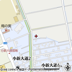 新潟県新潟市西区小新大通1丁目1周辺の地図