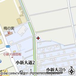 新潟県新潟市西区小新大通1丁目1-9周辺の地図