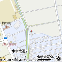 新潟県新潟市西区小新大通1丁目1-8周辺の地図