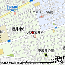 新潟県新潟市西区坂井東6丁目6周辺の地図