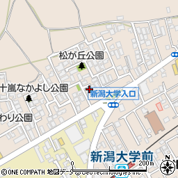 新潟県新潟市西区五十嵐１の町6674-12周辺の地図