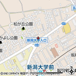 新潟県新潟市西区五十嵐１の町6671周辺の地図
