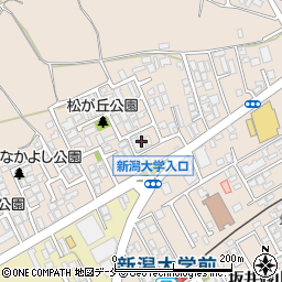 新潟県新潟市西区五十嵐１の町6764-71周辺の地図
