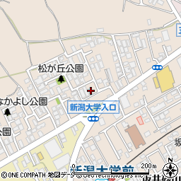 新潟県新潟市西区五十嵐１の町6764-69周辺の地図