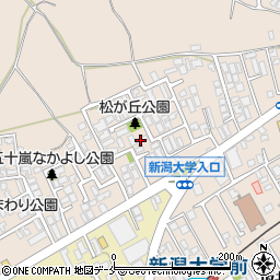 新潟県新潟市西区五十嵐１の町6755周辺の地図