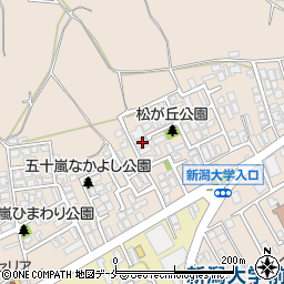 新潟県新潟市西区五十嵐１の町6753周辺の地図