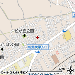 新潟県新潟市西区五十嵐１の町6765周辺の地図