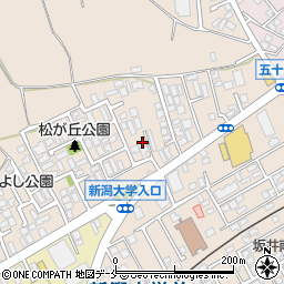 新潟県新潟市西区五十嵐１の町6770周辺の地図