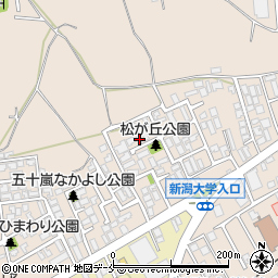 新潟県新潟市西区五十嵐１の町6754周辺の地図