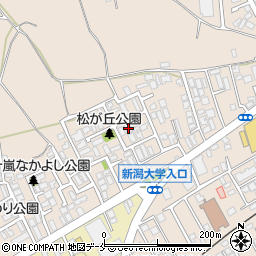 新潟県新潟市西区五十嵐１の町6764周辺の地図
