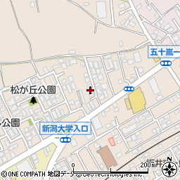 新潟県新潟市西区五十嵐１の町6776-5周辺の地図