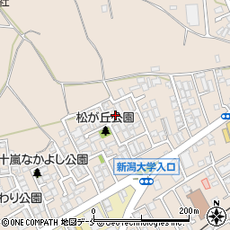 新潟県新潟市西区五十嵐１の町6764-63周辺の地図