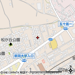 新潟県新潟市西区五十嵐１の町6776-9周辺の地図