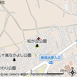 新潟県新潟市西区五十嵐１の町6764-62周辺の地図