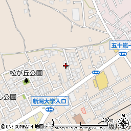 新潟県新潟市西区五十嵐１の町6776-34周辺の地図