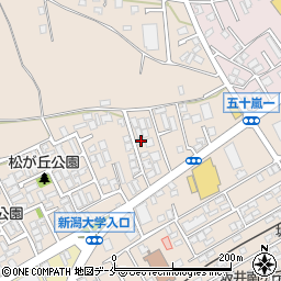 新潟県新潟市西区五十嵐１の町6776-19周辺の地図