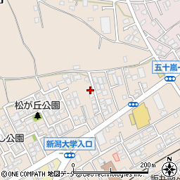 新潟県新潟市西区五十嵐１の町6776周辺の地図