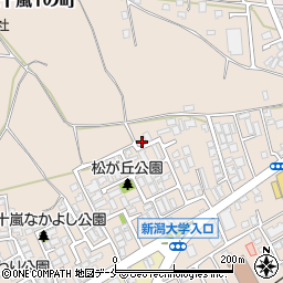 新潟県新潟市西区五十嵐１の町6771-4周辺の地図