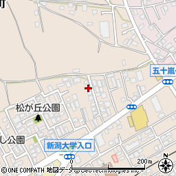 新潟県新潟市西区五十嵐１の町6776-24周辺の地図