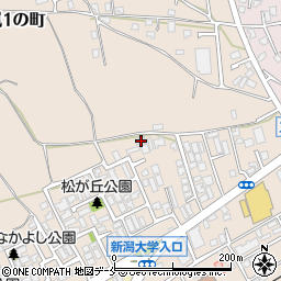 新潟県新潟市西区五十嵐１の町6812周辺の地図