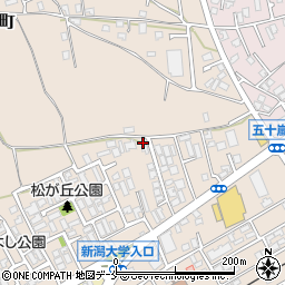 新潟県新潟市西区五十嵐１の町6776-3周辺の地図