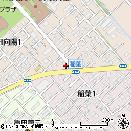 市民調剤薬局亀田向陽店周辺の地図