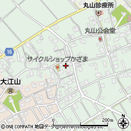 新潟県新潟市江南区丸山493周辺の地図