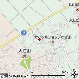 新潟県新潟市江南区丸山537周辺の地図
