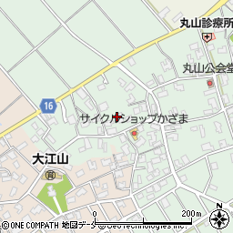 新潟県新潟市江南区丸山547周辺の地図