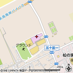 新潟市西総合スポーツセンター周辺の地図