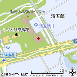 新潟市役所教育・文化施設　いくとぴあ食花食育・花育センター周辺の地図