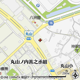 セブンイレブン新潟丸山店周辺の地図