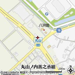 桃林新潟店周辺の地図