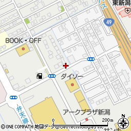 新潟県新潟市中央区姥ケ山114-5周辺の地図