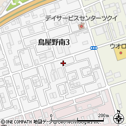 新潟県新潟市中央区鳥屋野南3丁目25-30周辺の地図