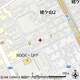 新潟県新潟市中央区姥ケ山2丁目10周辺の地図