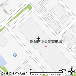 株式会社大倉　新潟支店周辺の地図