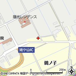 新潟県新潟市中央区鵜ノ子1017周辺の地図