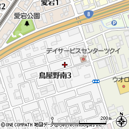新潟県新潟市中央区鳥屋野南3丁目4-6周辺の地図