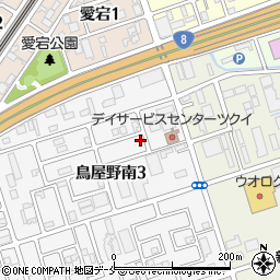 新潟県新潟市中央区鳥屋野南3丁目4-22周辺の地図
