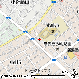 小針新町会館周辺の地図