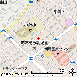 ブルームーンカフェ 新潟市 飲食店 の住所 地図 マピオン電話帳