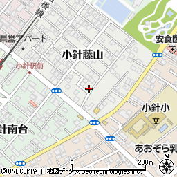 新潟県新潟市西区小針藤山6-5周辺の地図