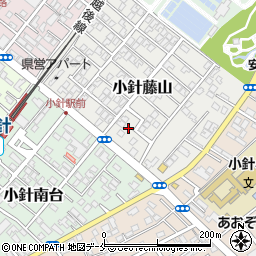 新潟県新潟市西区小針藤山6-24周辺の地図