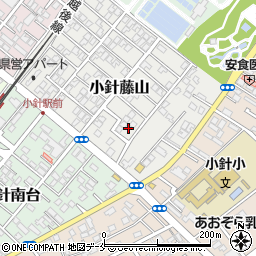 新潟県新潟市西区小針藤山6-3周辺の地図