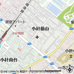 新潟県新潟市西区小針藤山6-23周辺の地図